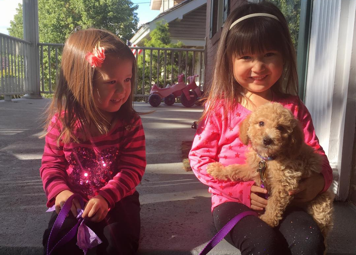 What co-regulation looks like